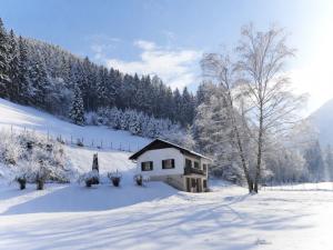 Jagdhaus im Dirndltal 